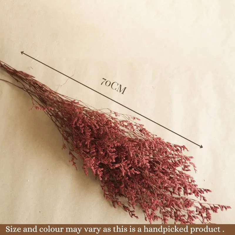 Dried Limonium Millet Grass Flower Bunch - Set Of Three media 6