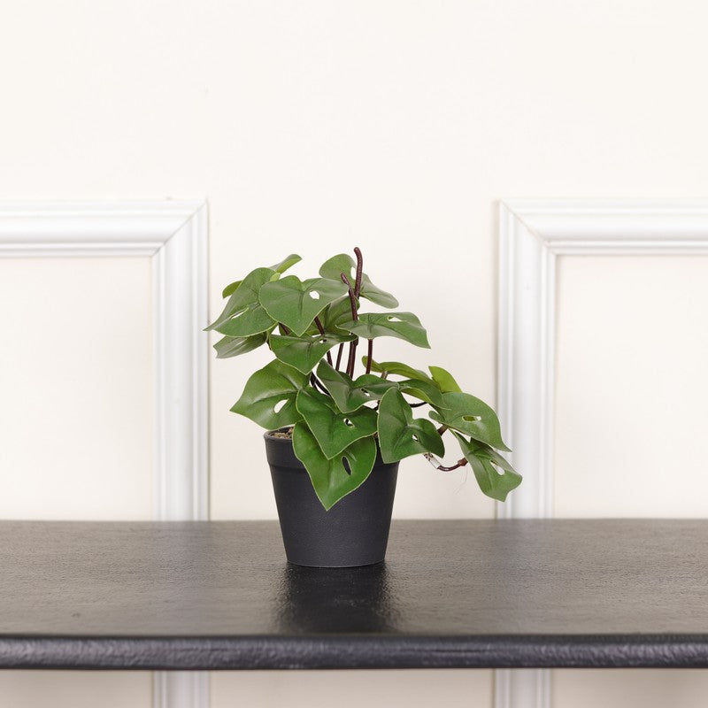 Artificial Philodendron Plant With Black Fiber Pot - 0.6 Feet media 3