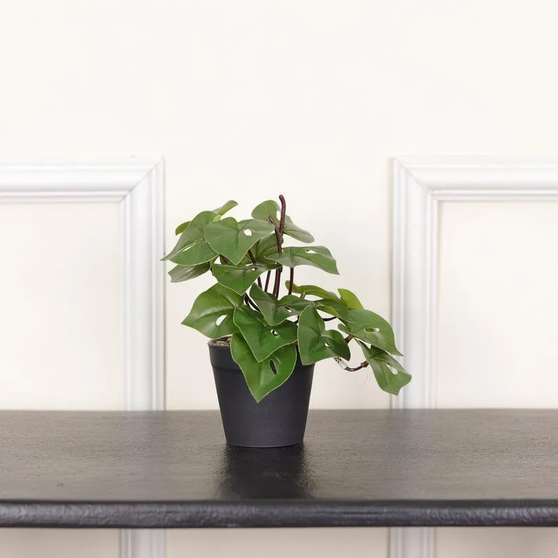 Artificial Philodendron Plant With Black Fiber Pot - 0.6 Feet media 3