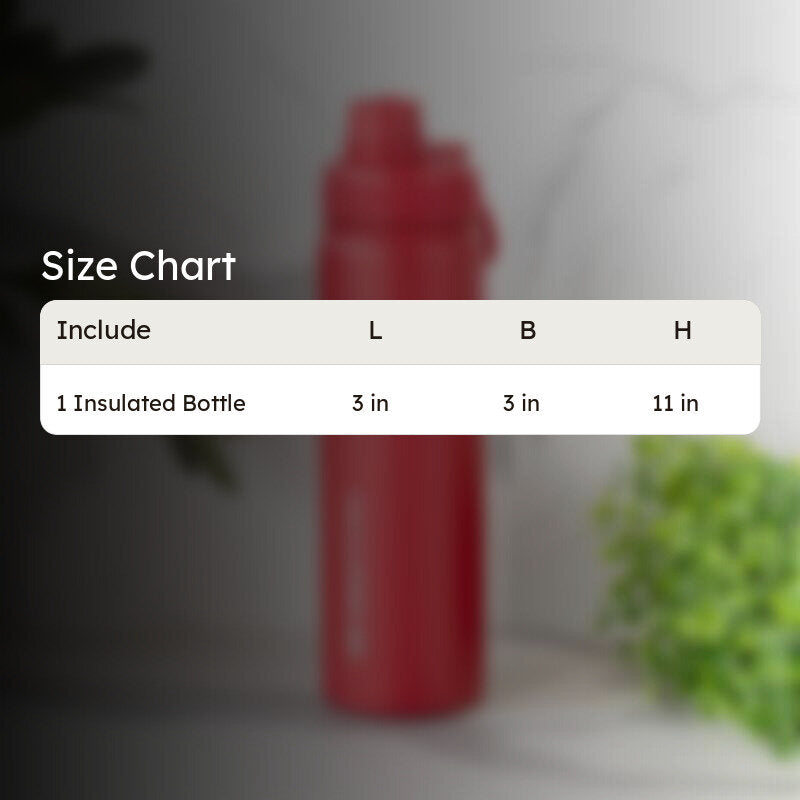 Quench Chic Hot & Cold Thermos Water Bottle (Red) - 750 mL media 7