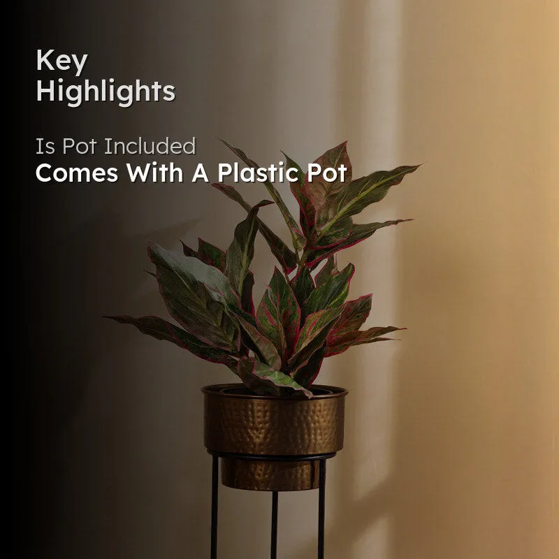 Artificial Realistic Dieffenbachia With Black Plastic Pot - Green media 2
