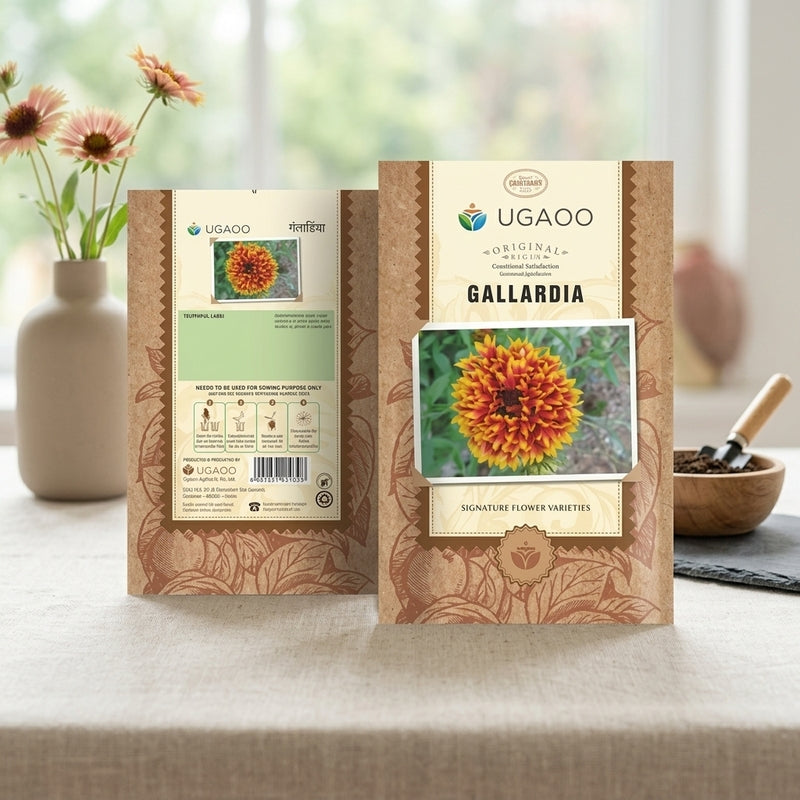 Ugaoo Gallardia Seeds media 3