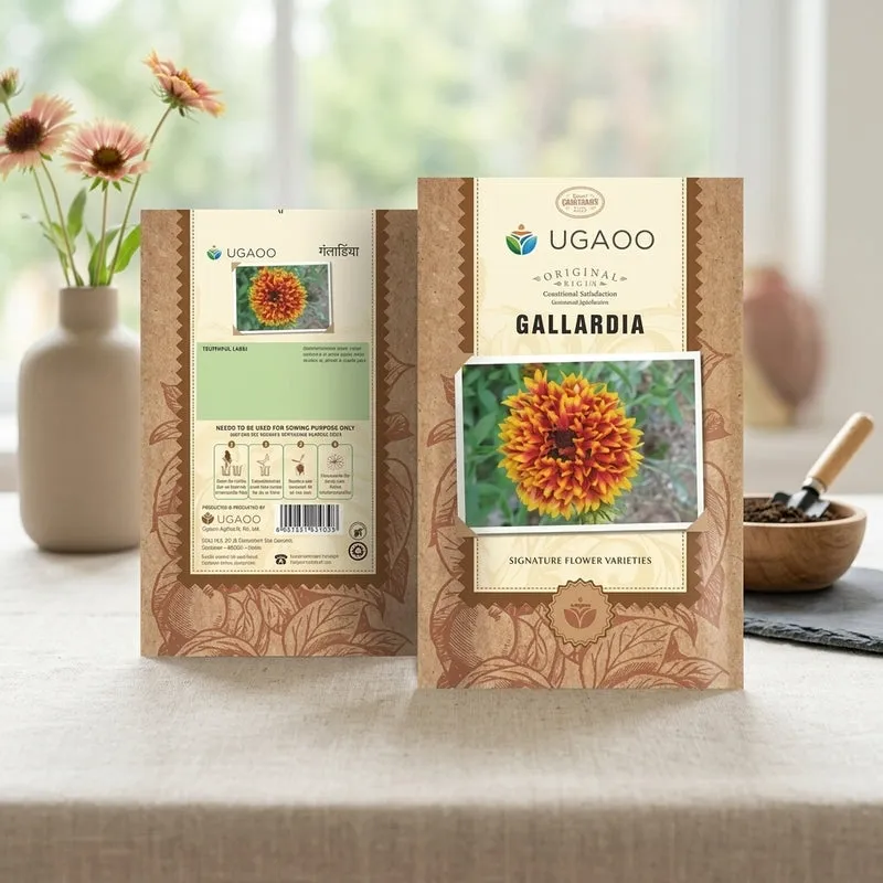 Ugaoo Gallardia Seeds media 3