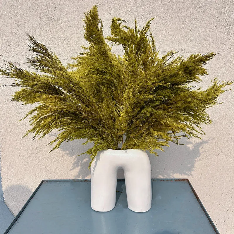 Ferilla Dried Pampas - Set Of Ten media 1