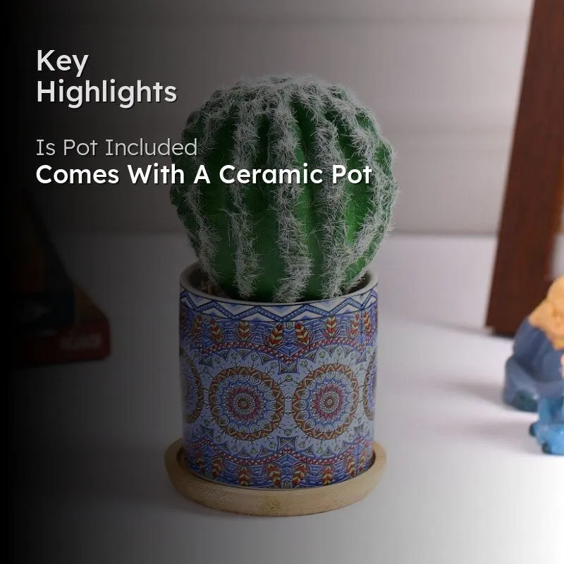 Faux Big Cacti In Ethnic Pot - 16 cms media 2