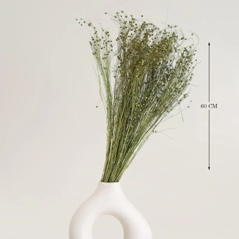 Loopa Dried Millet Grass Lino Bunch - Green media 4