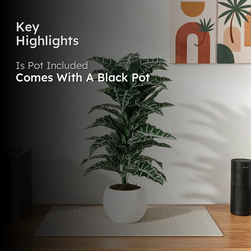 Faux Lush Happy Philo Plant With Black Plastic Pot - 2.8 Feet media 2