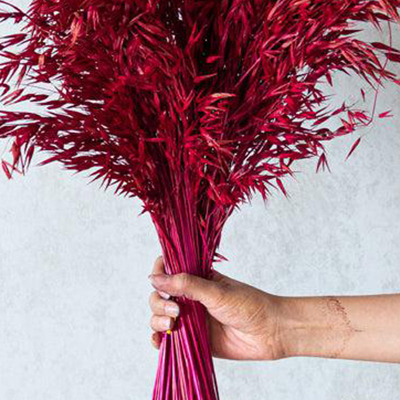 Yinira Naturally Dried Havana Millet Grass Bunch - Pink media 3