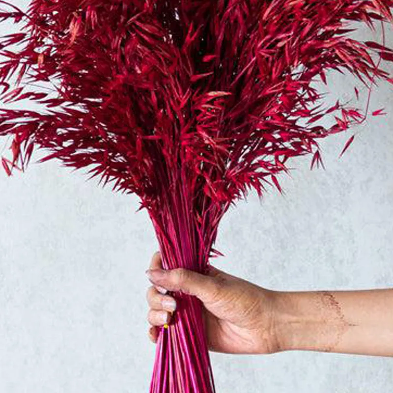 Yinira Naturally Dried Havana Millet Grass Bunch - Pink media 3