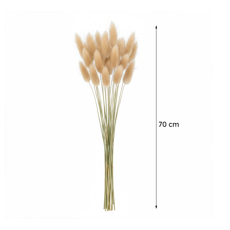 Naturally Dried Bunny Tail Stems (Beige) - Set of Thirty media 7