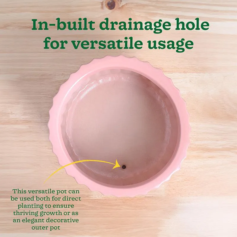 Ugaoo Stria Ceramic Planter - Pink media 8