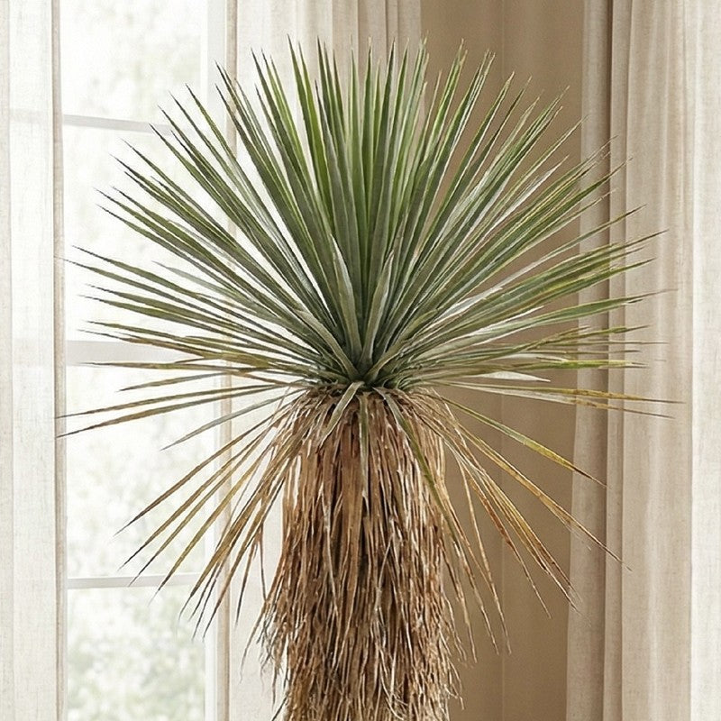 Sylvo Artificial Yucca Thompsonia Plant With Black Plastic Pot - 5.2 ft media 6
