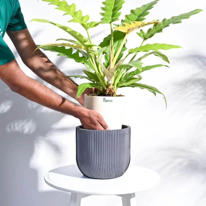 UGAOO Planter Ball Groove - Black media 5