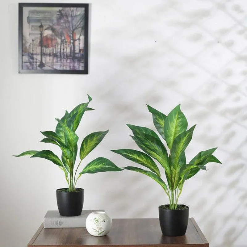 Faux Dracaena Plant With Black Plastic Pot (50 cms) - Set Of Two media 3