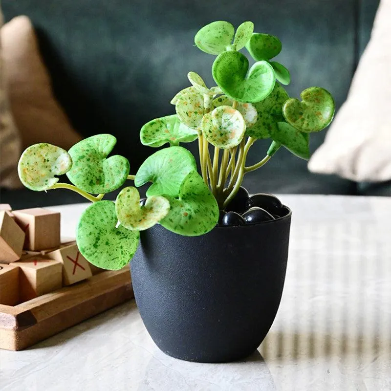 Pennelle Artificial Leaf Pennywort With Black Plastic Pot (Spotted Green) - 13 cm media 3