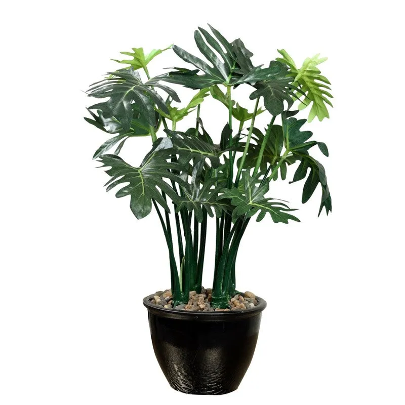 NatureForm Artificial Plant Collection With Black Fiber Pot - 1 Feet media 4