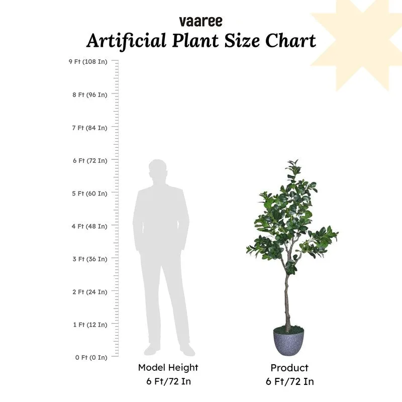 Artificial Peperomia Plant Without Pot - 5.9 Feet media 7