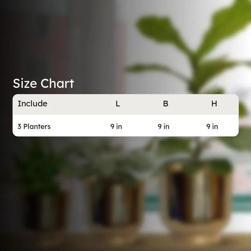 Nishma Golden Planter - Set Of Three media 8
