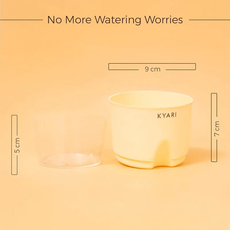 Kyari Viridian Plastic Self-Watering Pot (Cream) - Set Of Five media 6