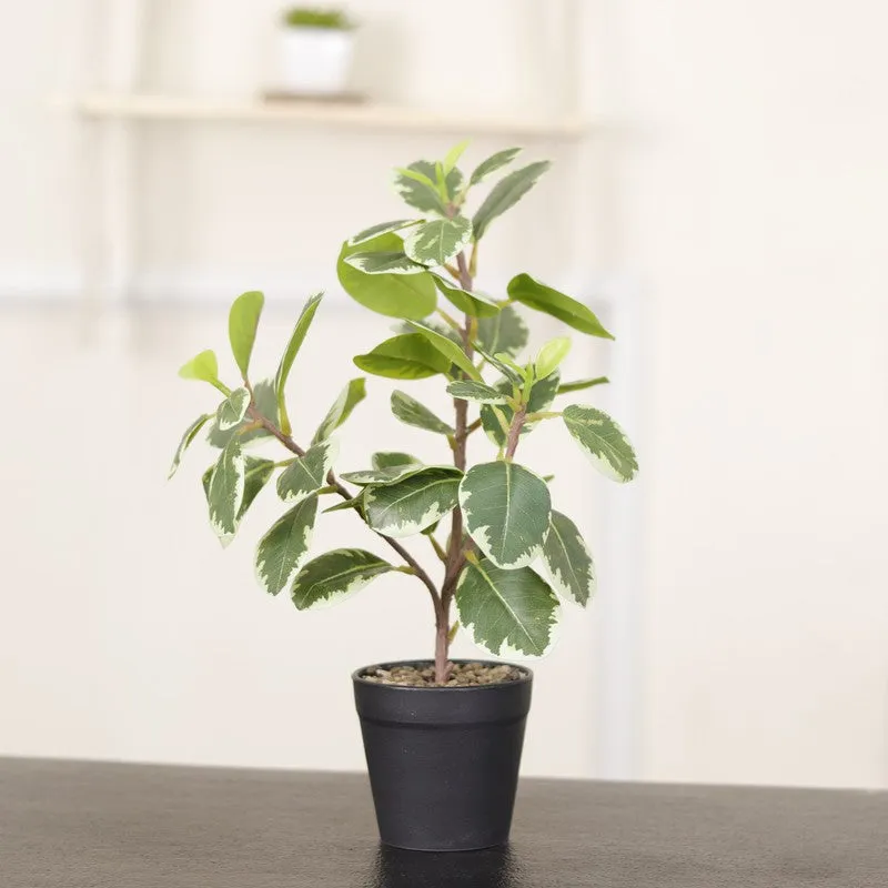 Artificial Green Quercus Leaf Small Plant With Black Fiber Pot - 1 Feet media 5