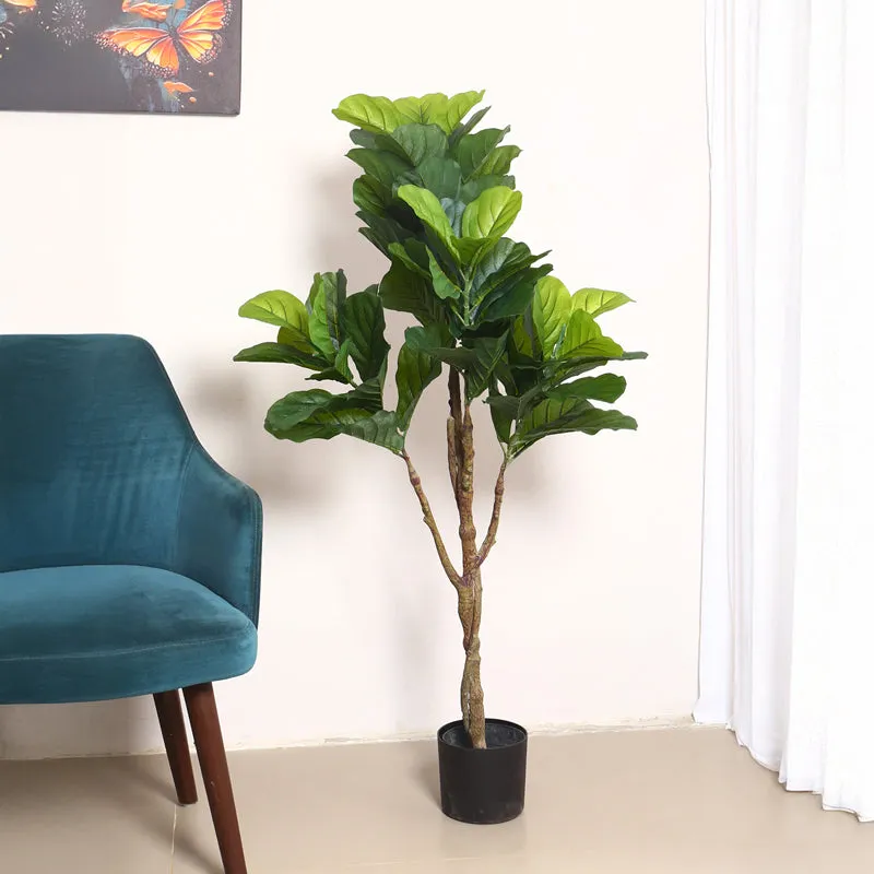 Verdiq Artificial Fiddle Fig With Black Plastic Pot - 4 Feet media 3