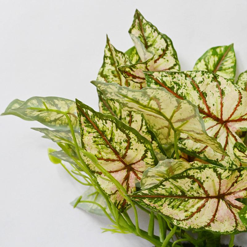 Caladelle Artificial Caladium Plant With Black Plastic Pot - 40 cm media 4