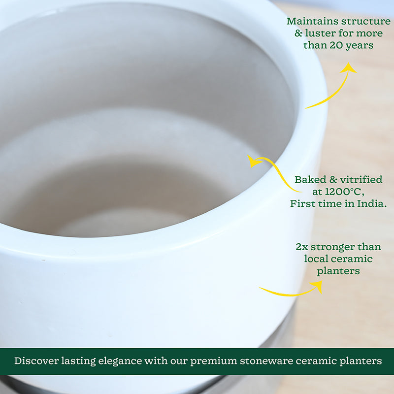 Ugaoo Pot-fection Ceramic Planter - White media 6