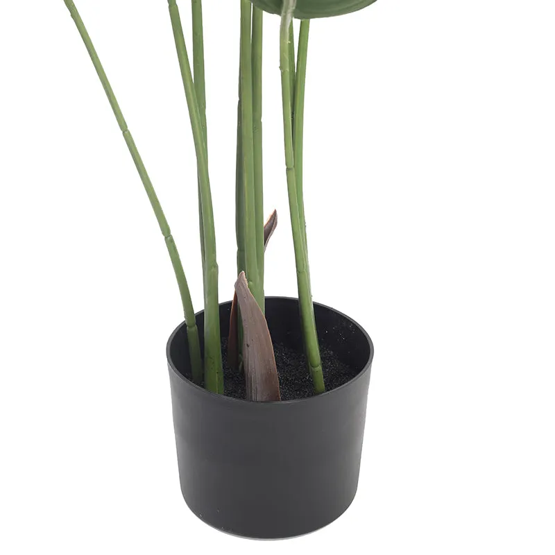 Chloro-faux Artificial Plant With Black Plastic Pot - 3.6 Feet media 4