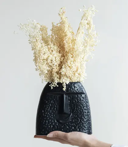 Dried Flowers & Leaves