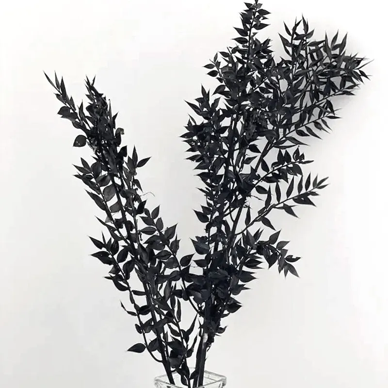 Dried Ruscus Bunch (Black) - Set Of Three media 4