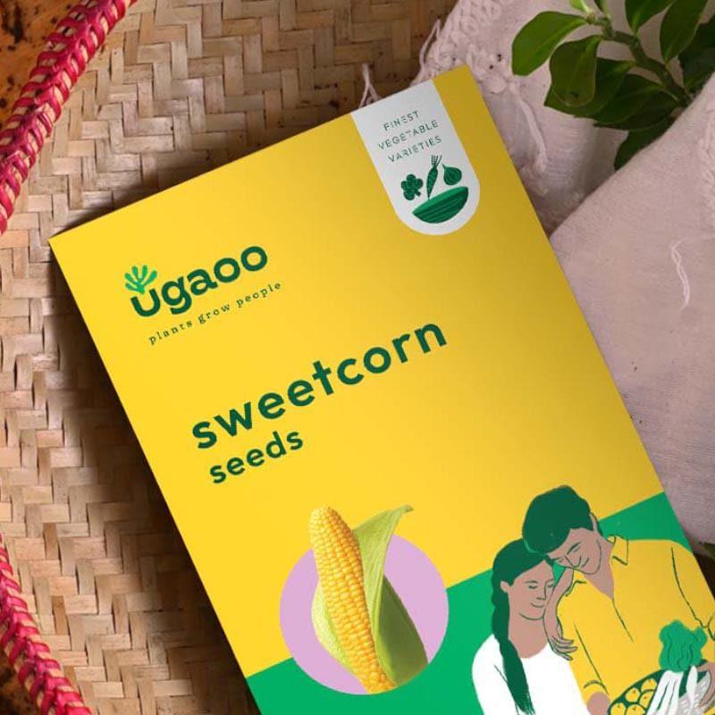 Ugaoo Yellow Sweetcorn Seeds media 3