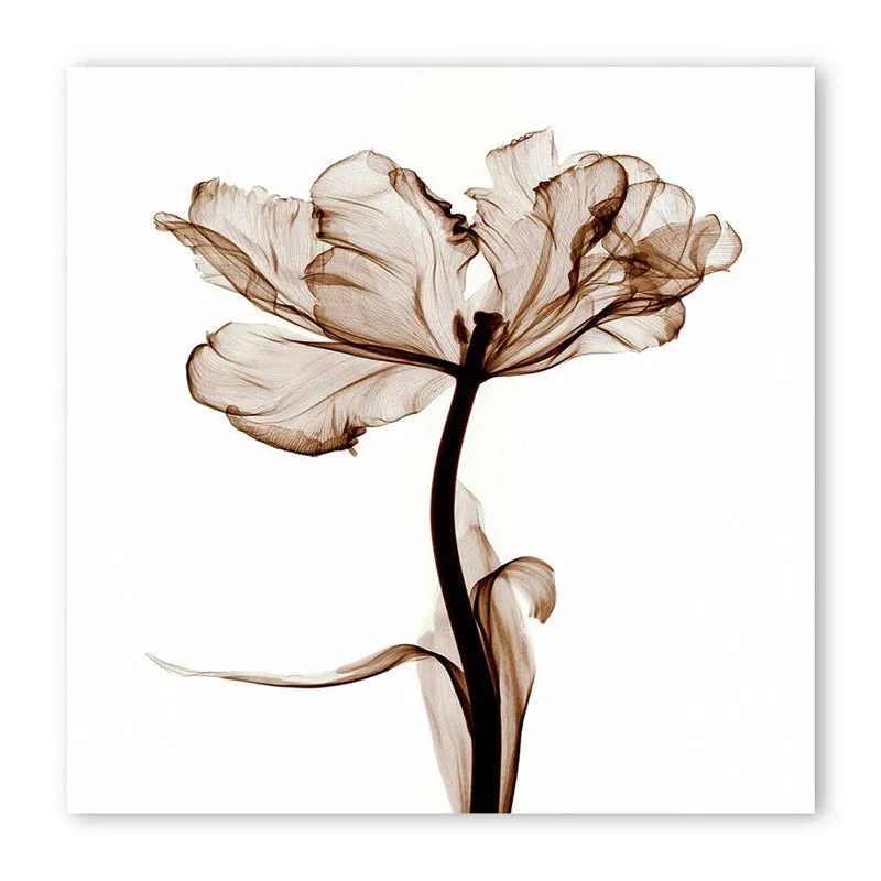 Argyle Floral Wall Art media 4
