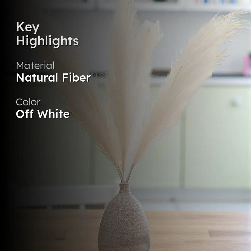 Artificial Feathery Pampas Grass (Off White) - Set Of Four media 2