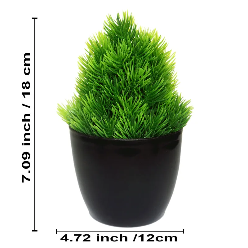 Faux Kesa Plant With Black Plastic Pot - Set Of Three media 2