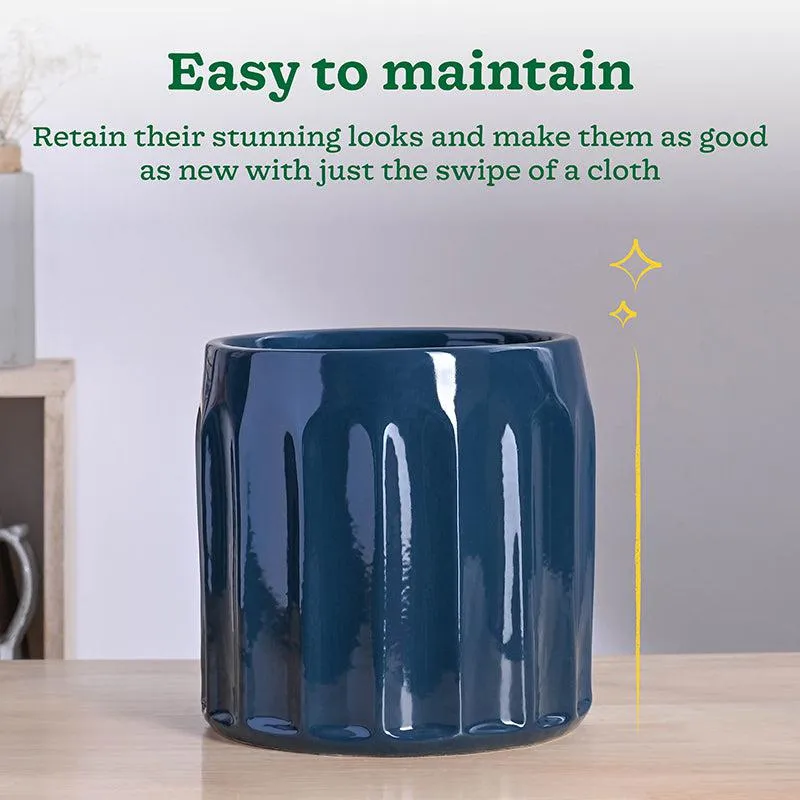 Ugaoo Straits Ceramic Planter - Blue media 4
