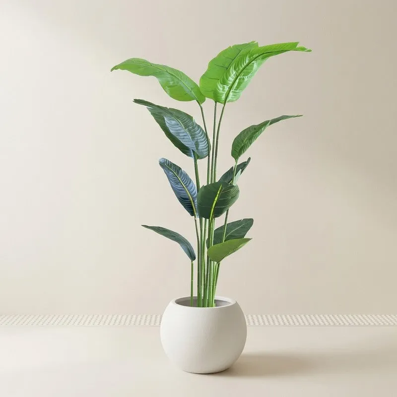 LushLeaf Artificial Plant With Black Plastic Pot - 5.6 ft media 3