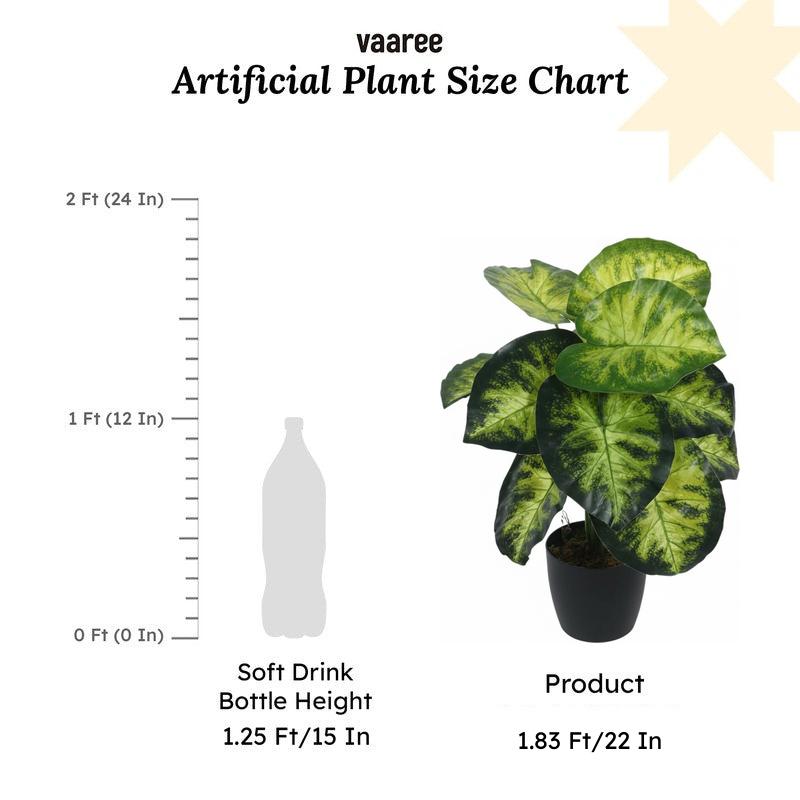 Faux Lush Aldo Monstera Plant With Black Plastic Pot - 1.8 Feet media 6