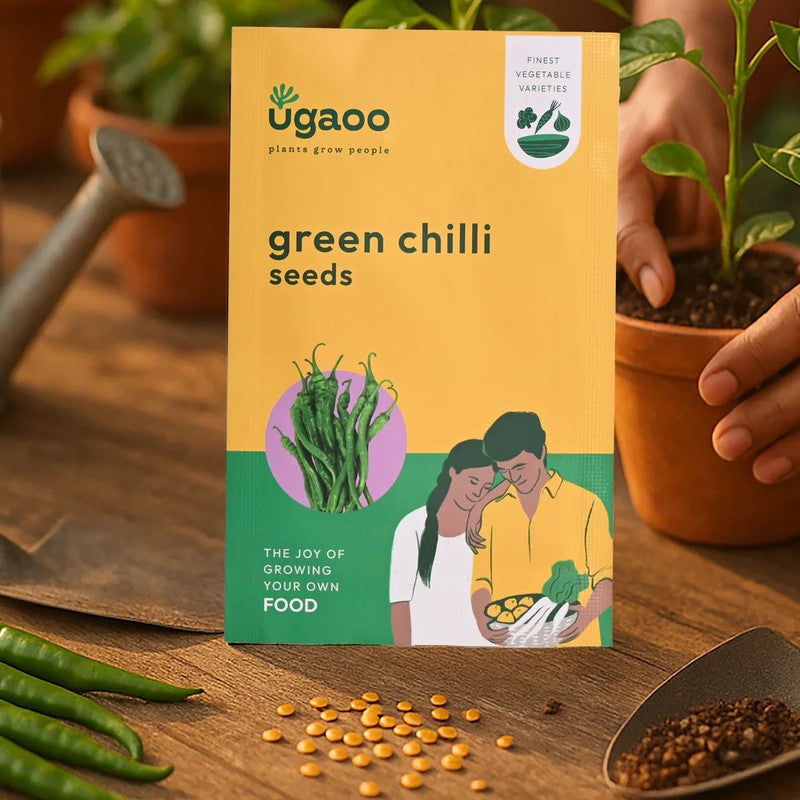 Ugaoo Veges Seeds (Coriander, Spinach, Green Chilli) - Set Of Three media 6