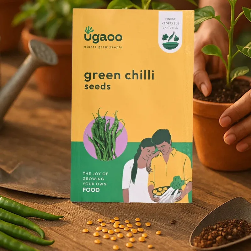 Ugaoo Veges Seeds (Coriander, Spinach, Green Chilli) - Set Of Three media 6