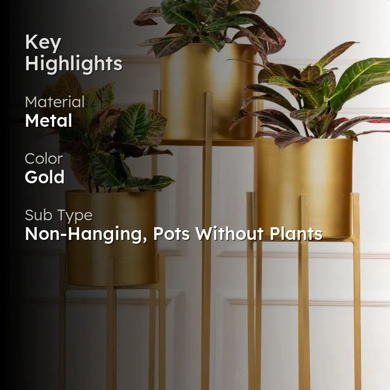 Cyra Golden Metal Planters - Set Of Three media 2