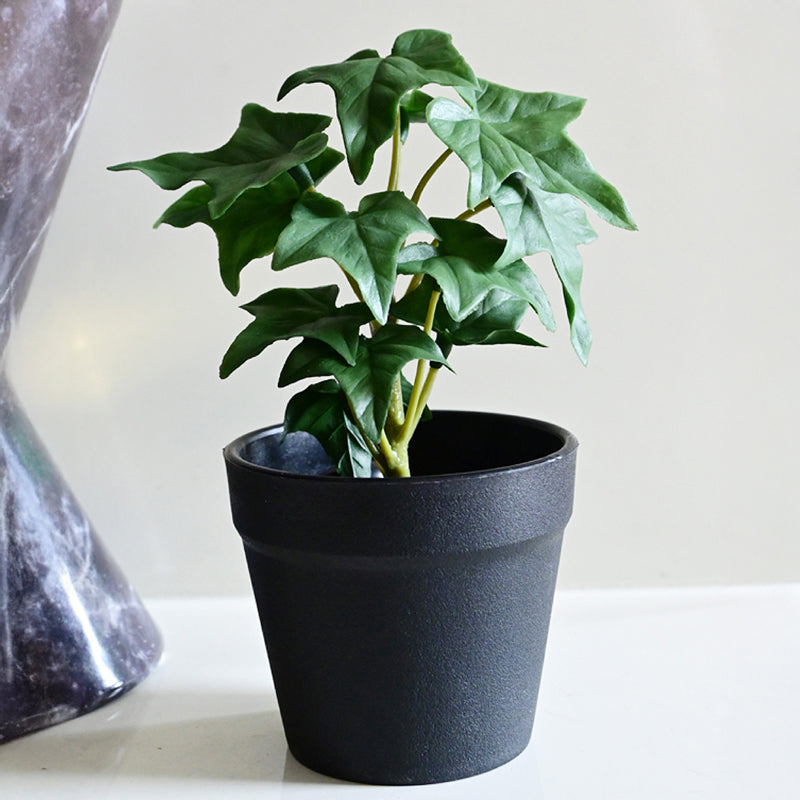 Ivette Artificial Mini Ivy Plant With Basic Black Plastic Pot (Dark Green) - 16 cm media 3