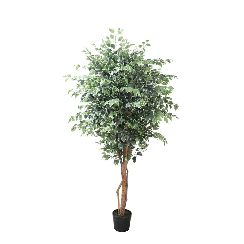 Urban Jungle Artifcial Plant With Black Plastic Pot - 7.4 ft media 5