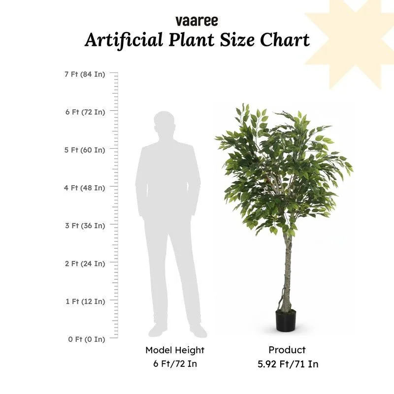 Faux Ficus Plant With Black Plastic Pot - 5.91 ft media 6