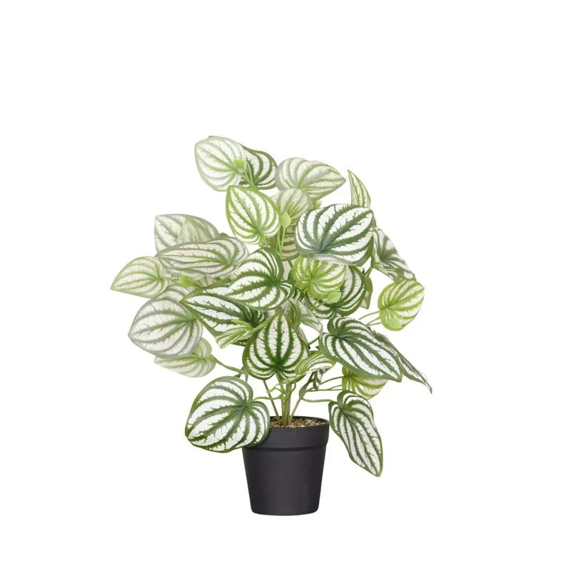 Artificial Watermelon Peperomia Plant With Black Fiber Pot - 1 Feet media 4