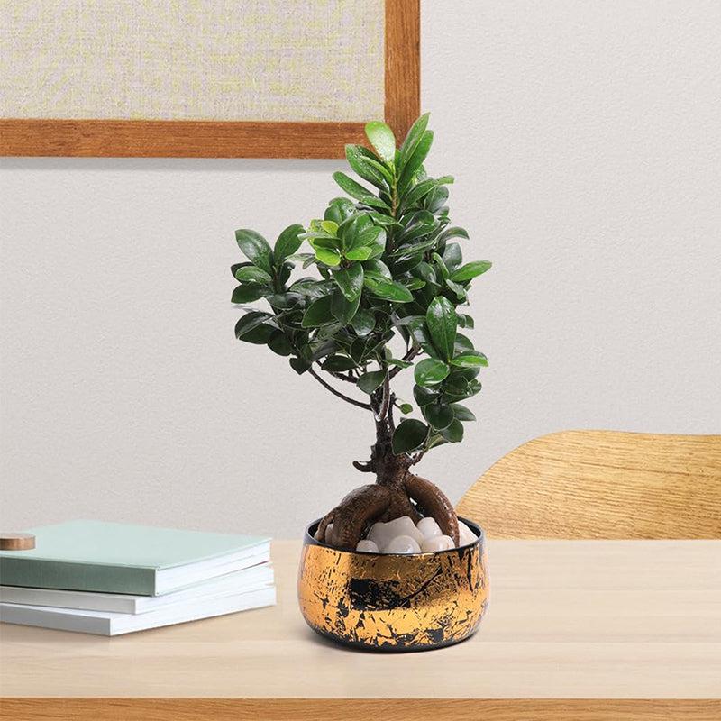 Zima Metal Planter media 2