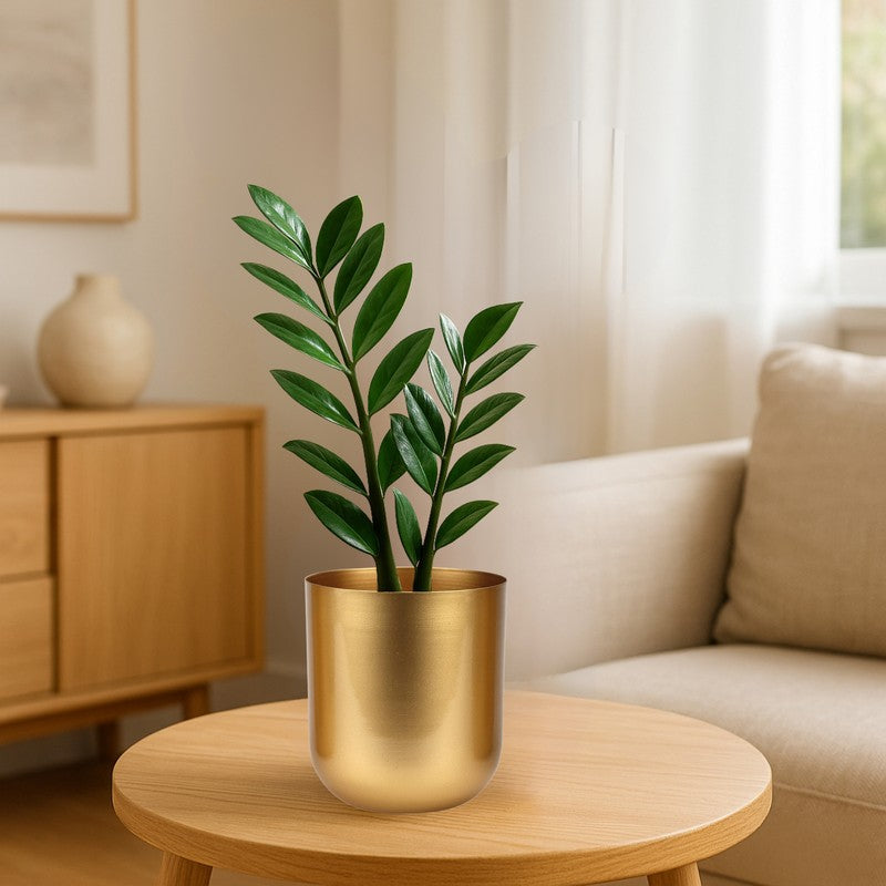 Aurix Metal Planter media 5