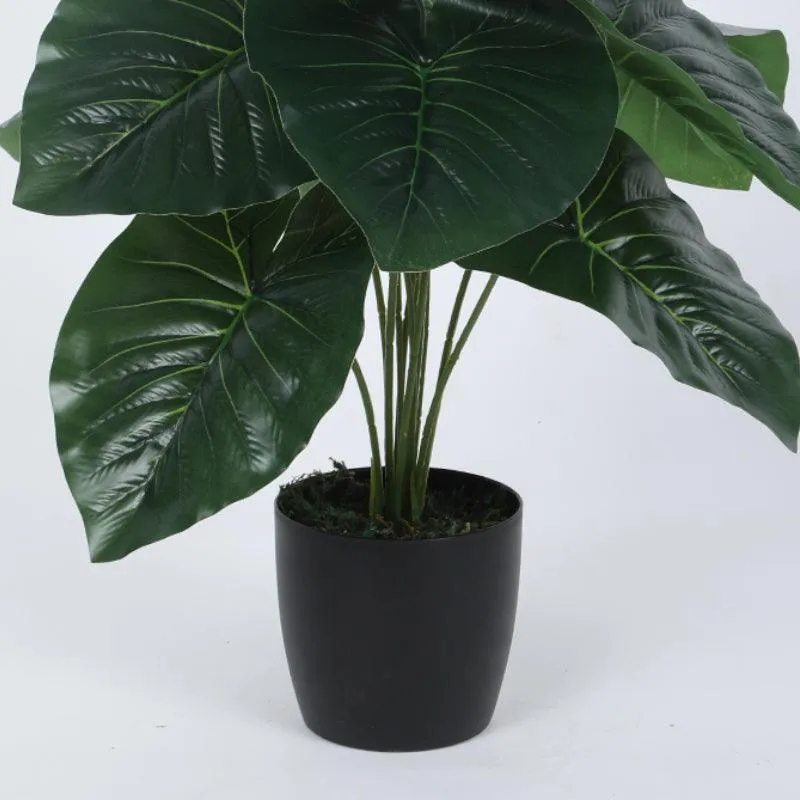 Faux Rubber Silk Plant With Black Plastic Pot - 55 cms media 5
