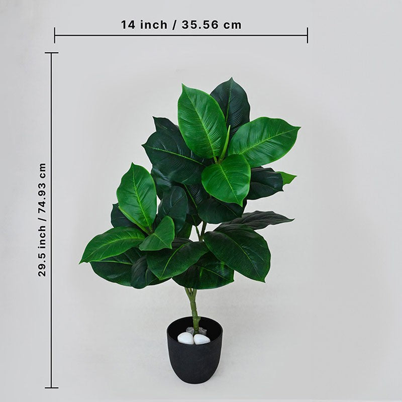 Faux Everlasting Dieffenbachia Seguine Plant With Black Plastic Pot - 75 cm (2.5 ft) media 5
