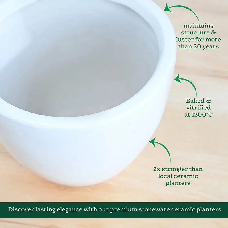 Cantata Ceramic Planter - White media 5