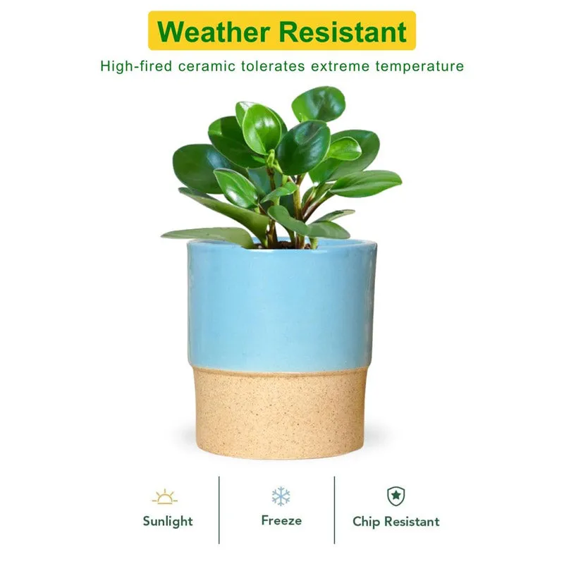 Abinsha Ceramic Pot - Blue media 3